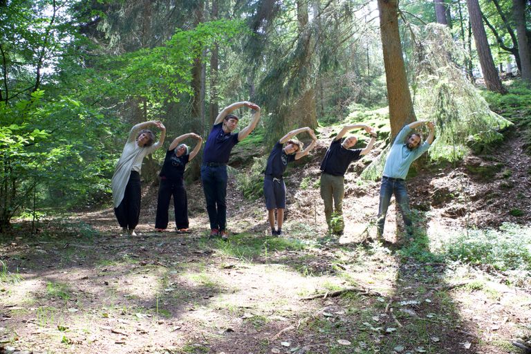 Sechs Personen dehnen sich in einem Waldgebiet, umgeben von Bäumen und Natur.