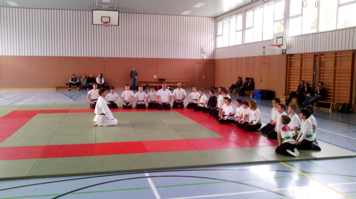 Menschen üben in einem Dojo; Matten in Rot, Grün und Blau, Wände mit Kunstwerken.