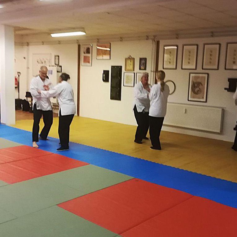 © André Priemer-Achnitz Menschen üben in einem Dojo; Matten in Rot, Grün und Blau, Wände mit Kunstwerken.